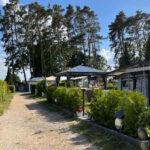 Camp am Waldesrand in Brietlingen-Lüdershausen - 1