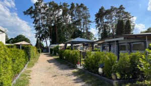 Camp am Waldesrand in Brietlingen-Lüdershausen - 1