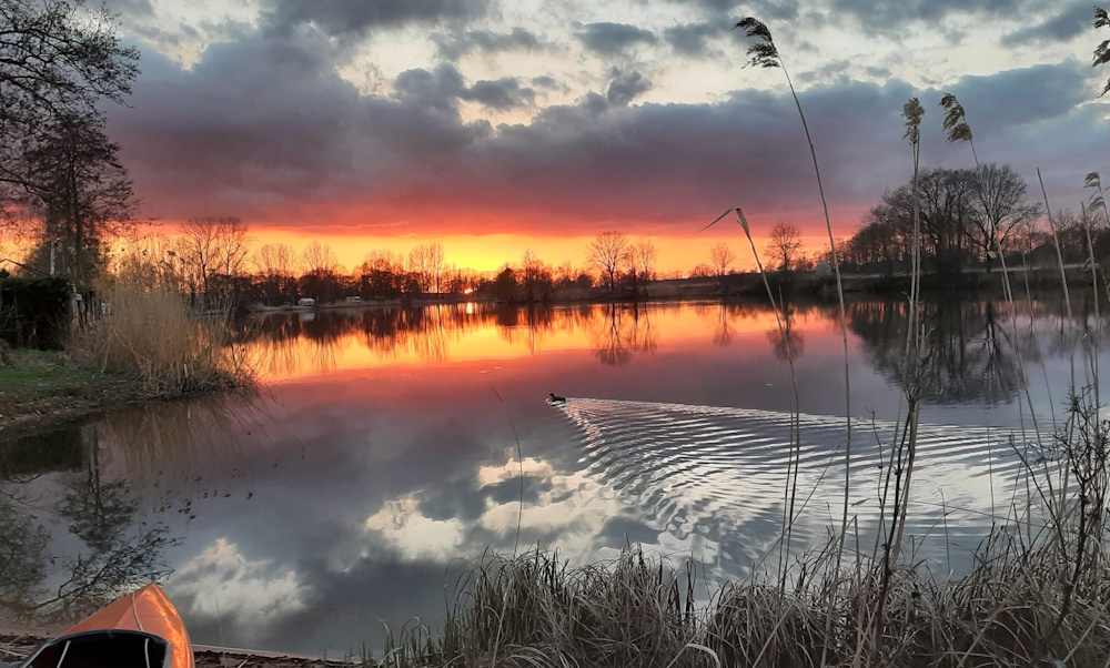 Camp am Waldesrand in Brietlingen-Lüdershausen