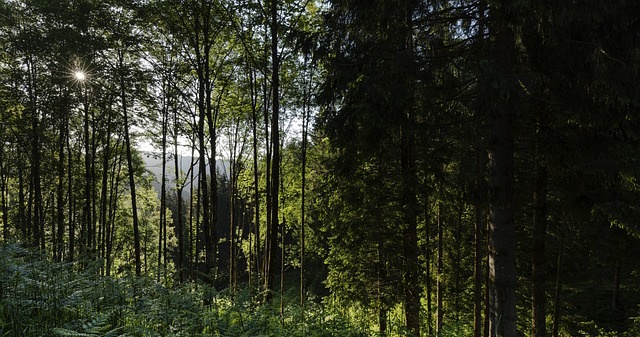 Campingurlaub